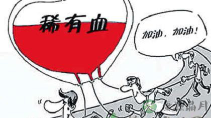 揭秘血型与性格之间的神秘关系