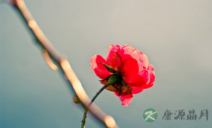 心理平衡才能保证身体健康 心理平衡才能保证身体健康