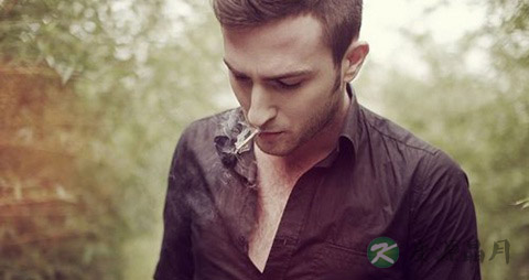 天气凉了 找个“暖男”暖被窝吧