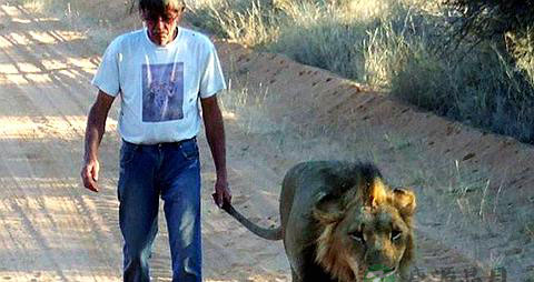 有利老人健康的七个心理因素