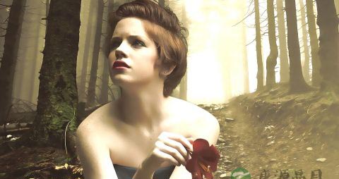 幸福婚姻5大黄金比例 幸福婚姻5大黄金比例