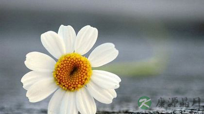 你有强迫症吗?揭秘强迫症的7大表现 你有强迫症吗?揭秘强迫症的7大表现