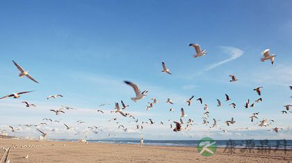 抑郁症的五大自我治疗方法 抑郁症的五大自我治疗方法