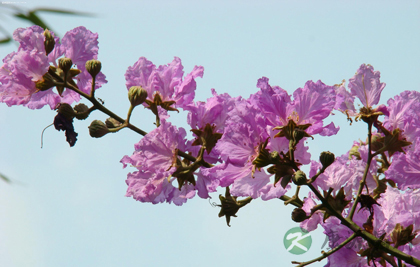 影响人类情绪的重要因素