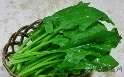 三大绿色食物有利缓解心理疲劳