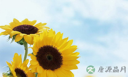 远离四种不健康心理 远离四种不健康心理