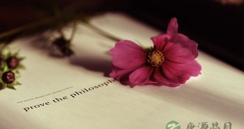有效沟通是正确的战略_正确有什么表现