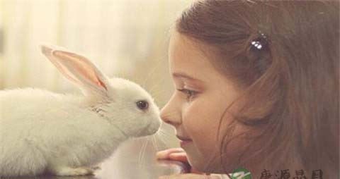 如何应对儿子恋母情结_怎样对待恋母情结