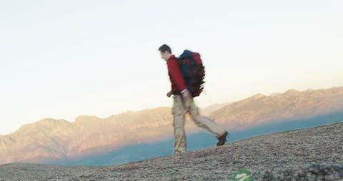 易受心情影响的器官_哪些器官易受心情影响 易受心情影响的器官_哪些器官易受心情影响