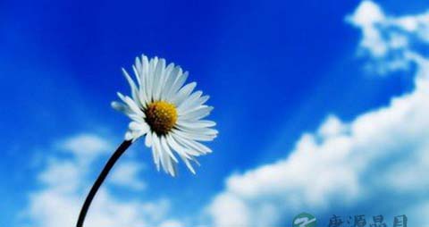 学习心理暗示法_什么是心理暗示法