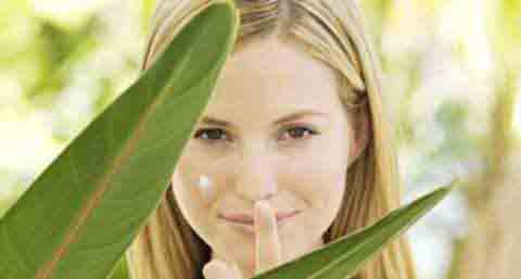 酸奶面膜要怎么做 酸奶面膜要怎么做