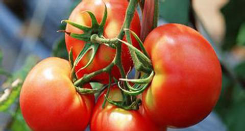 春季怎么保养皮肤