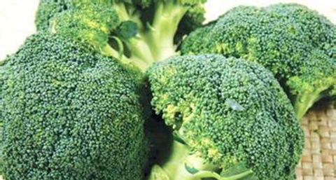 吃什么预防肌肤衰老