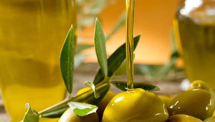 食用橄榄油可以护发吗