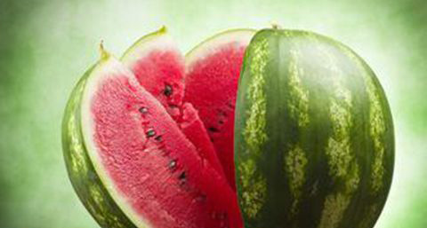 这些食物吃了会长胖_吃什么容易长胖