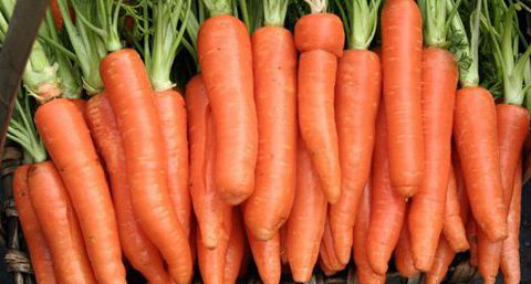 【如何瘦脸】吃什么瘦脸最有效