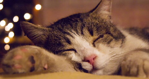 如何赶走脸部浮肿_怎样快速瘦脸