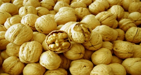 丰胸效果好的食物_丰胸食物