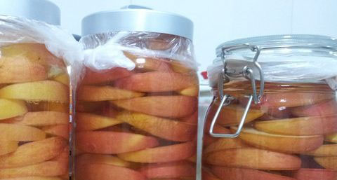 苹果醋减肥 苹果醋减肥