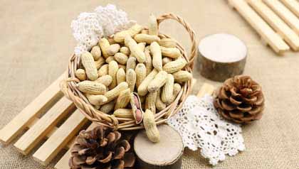 吃什么可以很快丰胸