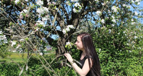 花椒水的妙用_神奇花椒水祛痘妙用