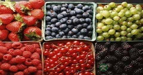 平价食物去皱_哪些食物去皱 平价食物去皱_哪些食物去皱