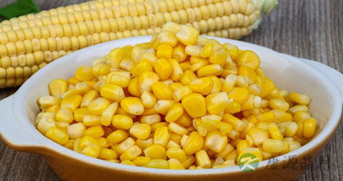 玉米粒的吃法_哪些人不能吃玉米粒