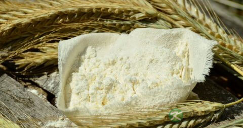 面筋有营养吗 面筋有营养吗