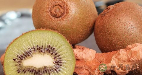 没软的猕猴桃能吃吗 没软的猕猴桃能吃吗