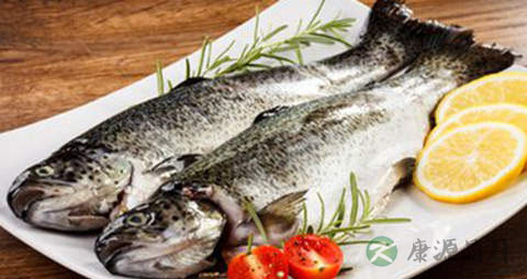 堤鱼的营养价值_吃堤鱼的好处