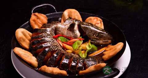 黑鱼的营养价值_吃黑鱼的好处 黑鱼的营养价值_吃黑鱼的好处