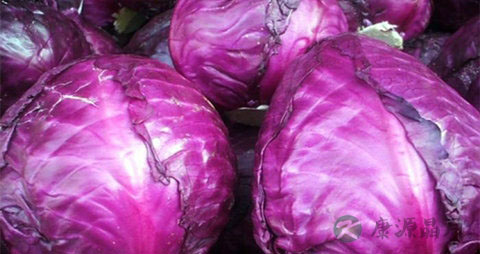 紫甘蓝的吃法_哪些人不能吃紫甘蓝