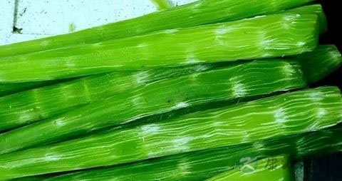 凉拌笋丝用焯水吗 凉拌笋丝用焯水吗