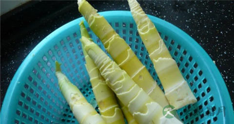 甜竹笋的吃法_哪些人不能吃甜竹笋