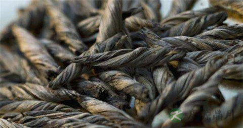 苦丁茶的真假鉴别 苦丁茶的真假鉴别