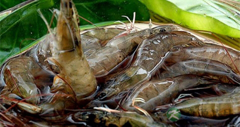 明虾的吃法_哪些人不能吃明虾