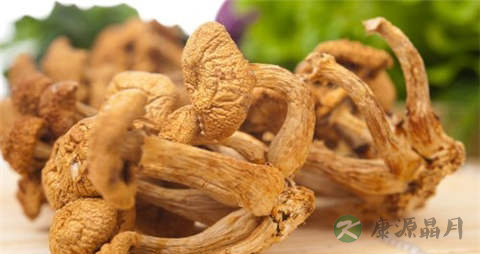 滑子菇的吃法_哪些人不能吃滑子菇