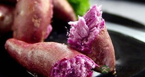 紫薯怎么保存 紫薯怎么保存