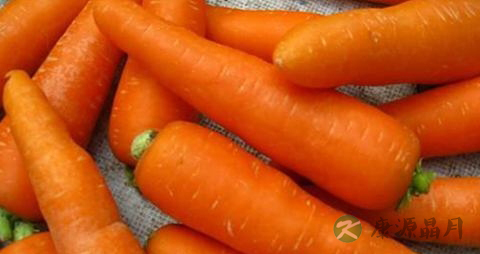 胡萝卜和黑木耳能一起吃吗