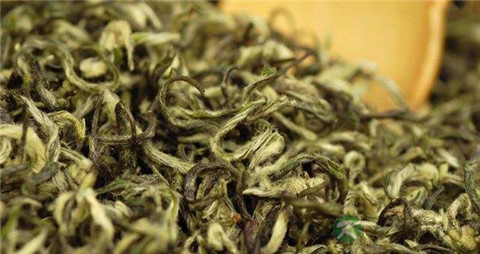 碧螺春是什么茶 碧螺春是什么茶