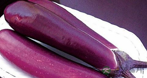 茄子怎么做不发黑 茄子怎么做不发黑