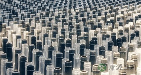 烧酒的营养价值_吃烧酒的好处