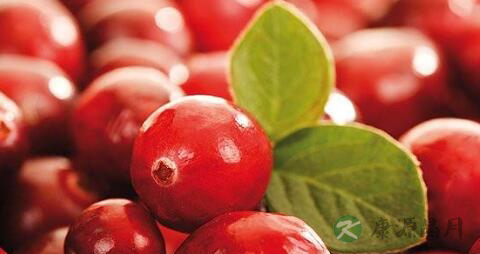 吃蔓越莓干会长胖吗 吃蔓越莓干会长胖吗