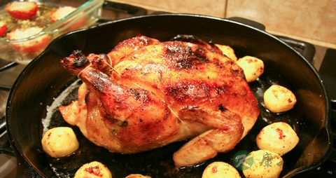 火鸡的吃法_哪些人不能吃火鸡