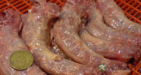 鸡脖子的吃法_哪些人不能吃鸡脖子