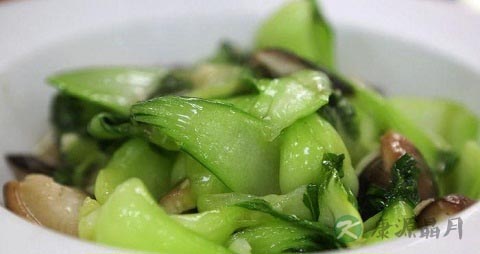 白菜苔的吃法_哪些人不能吃白菜苔 白菜苔的吃法_哪些人不能吃白菜苔