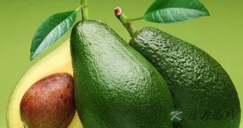鳄梨的营养价值_吃鳄梨的好处