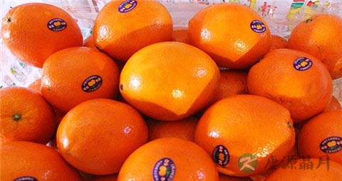 如何挑选脐橙