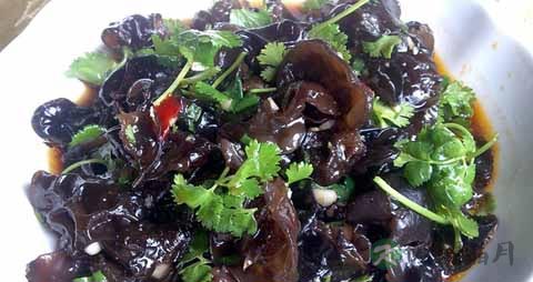 石耳的吃法_哪些人不能吃石耳