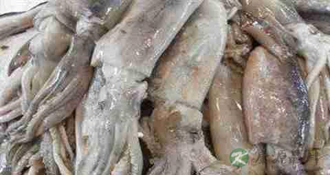 鱿鱼须的营养价值_吃鱿鱼须的好处